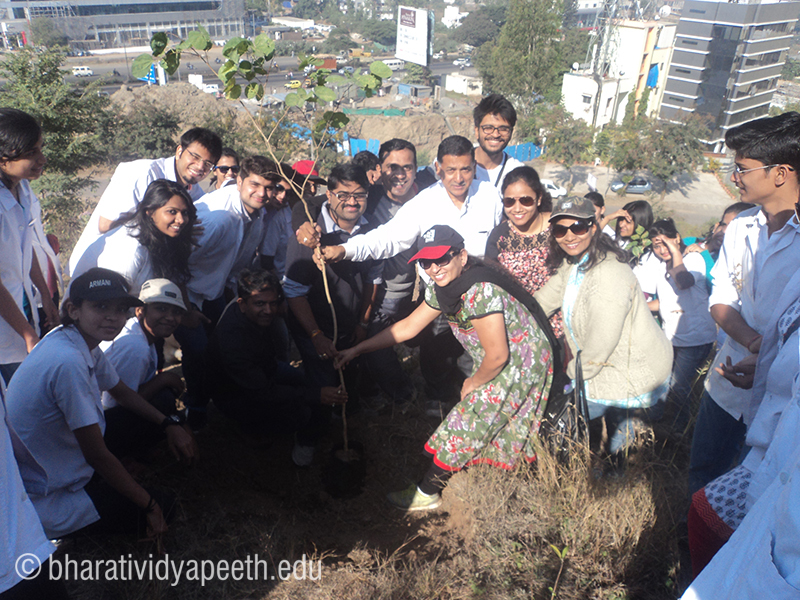 Tree Plantation 10th Jan