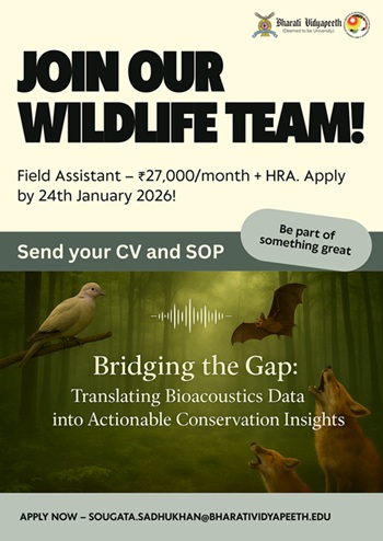 Join Our Wildlife Team