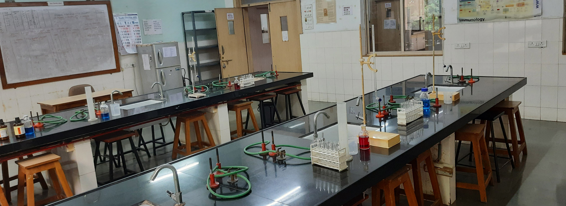 Department of Microbial Biotechnology