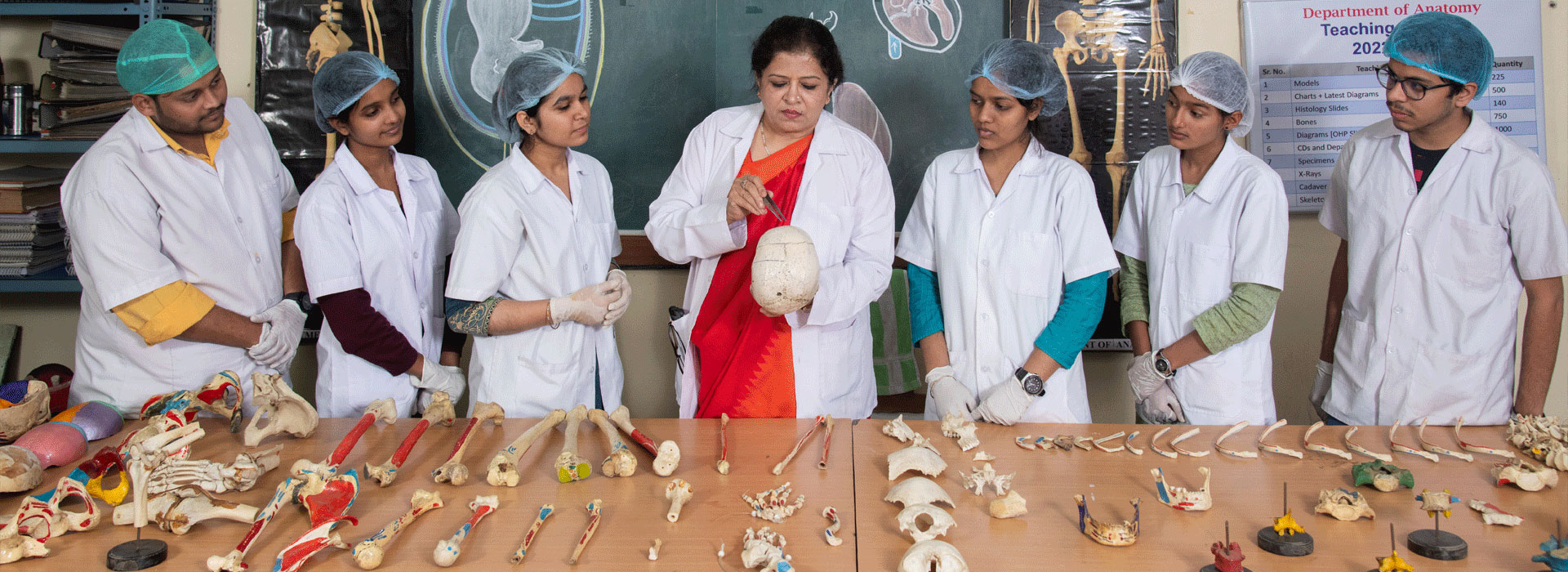 Department of Anatomy