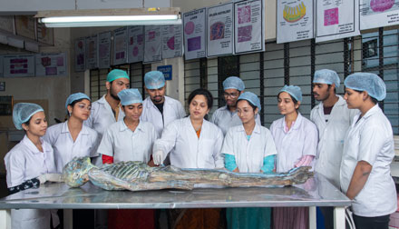 mechanics-laboratory