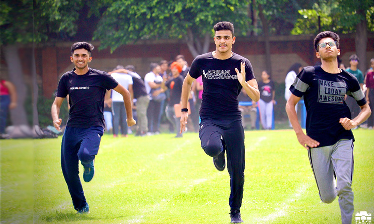 research-overview-img