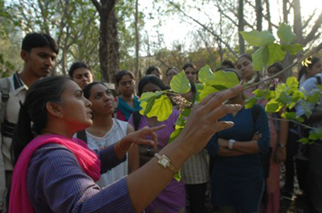 ieer-interpretation-img