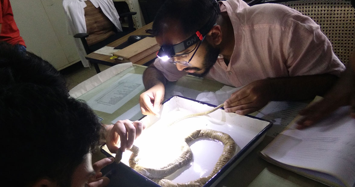 ieer-research-over-img