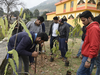 research-colabration